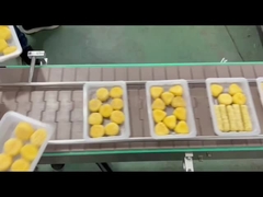 máquina automática de sellado de bandejas 4R con lavado de gas al vacío