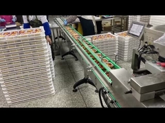 Acero inoxidable máquina de sellado de relleno automático de bandeja de alimentos para bandeja de papel de aluminio de comida rápida